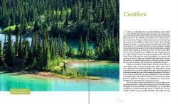 Alternative view 9 of Rare Trees: The Fascinating Stories of the World's Most Threatened Species