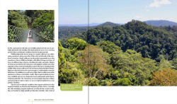 Alternative view 10 of Rare Trees: The Fascinating Stories of the World's Most Threatened Species