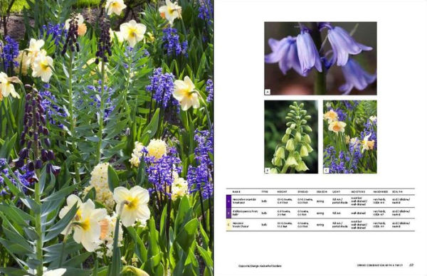 The Gardener's Palette: Creating Colour Harmony in the Garden