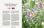 Alternative view 12 of The Gardener's Palette: Creating Colour Harmony in the Garden