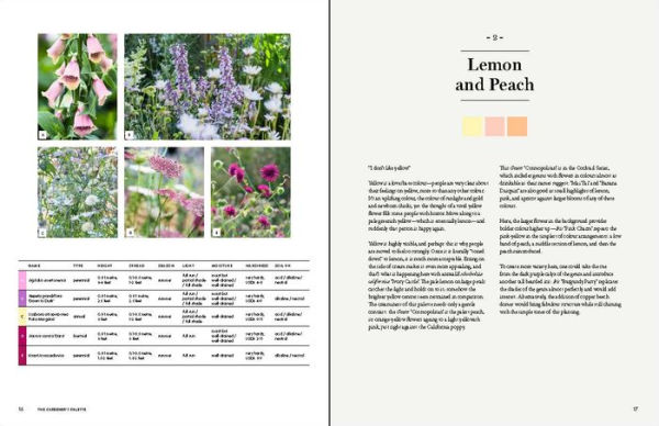 The Gardener's Palette: Creating Colour Harmony in the Garden