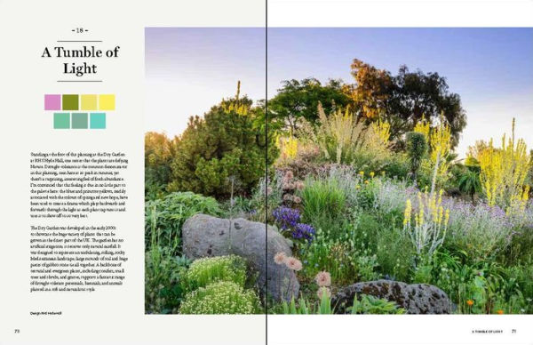 The Gardener's Palette: Creating Colour Harmony in the Garden