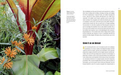 Alternative view 11 of Fearless Gardening: Be Bold, Break the Rules, and Grow What You Love