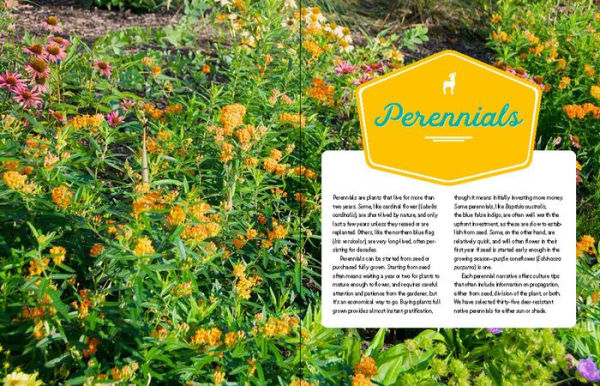 Deer-Resistant Native Plants for the Northeast