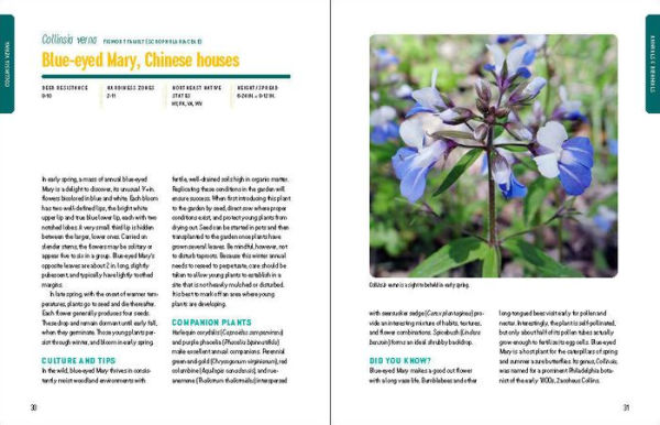 Deer-Resistant Native Plants for the Northeast