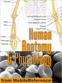 Human Anatomy and Physiology Study Guide