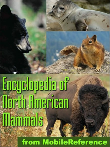 The Illustrated Encyclopedia Of North American Mammals: A Comprehensive Guide To Mammals Of North America