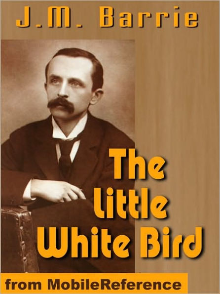 The Little White Bird