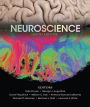 Neuroscience / Edition 6