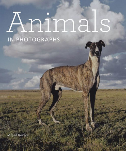 Animals in Photographs
