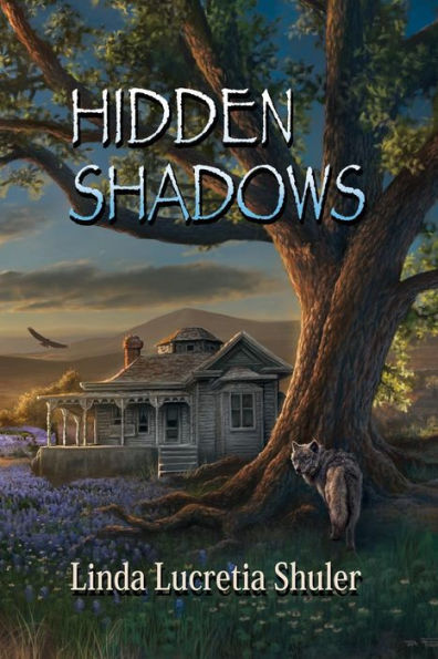 Hidden Shadows