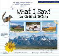 Title: What I Saw in Grand Teton: A Kid's Guide to the National Park, Author: Julie Gillum Lue