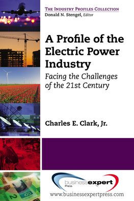 A Profile of the Electric Power Industry: Facing the Challenges of the 21st Century