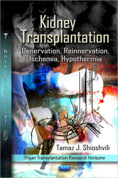 Kidney Transplantation: Denervation, Reinnervation, Ischemia, Hypothermia