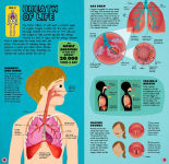 Alternative view 14 of Build the Human Body