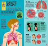 Alternative view 2 of Build the Human Body