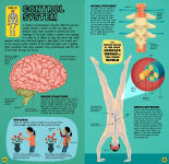 Alternative view 4 of Build the Human Body