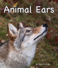 Title: Animal Ears, Author: Mary Holland