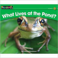 Title: What Lives at the Pond?, Author: Caroline Hutchinson