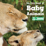 Title: My First Book of Baby Animals (National Wildlife Federation), Author: National Wildlife Federation