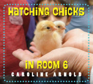 Title: Hatching Chicks in Room 6, Author: Caroline Arnold