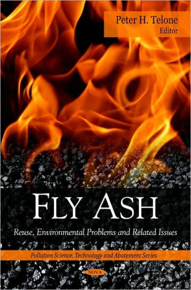 Fly Ash: Reuse, Environmental Problems and Related Issues