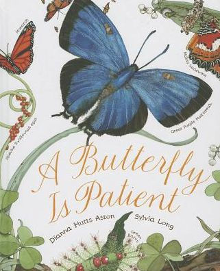 A Butterfly Is Patient