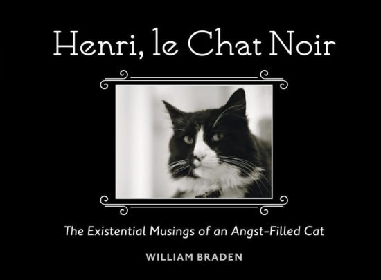 Henri Le Chat Noir The Existential Musings Of An Angst Filled Cathardcover