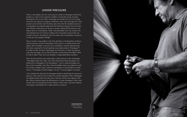 Champagne [Boxed Book & Map Set]: The Essential Guide to the Wines