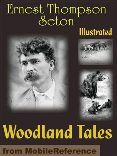 Woodland Tales. ILLUSTRATED