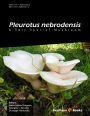 Pleurotus Nebrodensis: A Very Special Mushroom