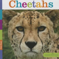 Title: Cheetahs, Author: Kate Riggs