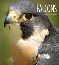 Title: Falcons, Author: Melissa Gish Creative Education