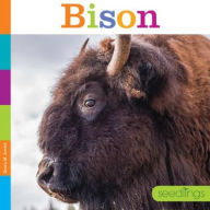 Title: Bison, Author: Grete Sonne