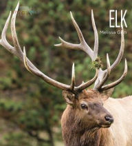 Elk