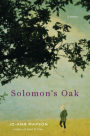 Solomon's Oak