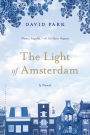 The Light of Amsterdam: A Novel