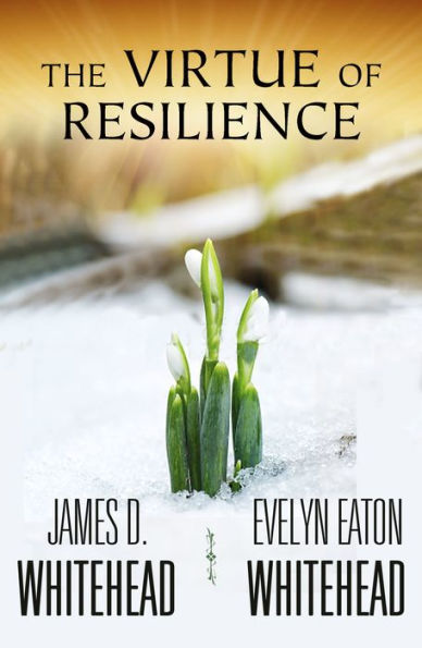 The Virtue of Resilience
