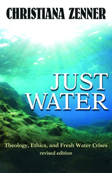 Just Water : Theology, Ethics, and Global Water Crises