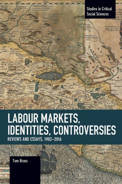 Labour Markets, Identities, Controversies: Reviews and Essays, 1982-2016