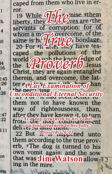 The True Proverb - A Lay Examination of Unconditional Eternal Security