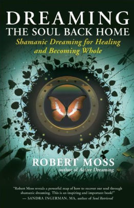 Dreaming The Soul Back Home Shamanic Dreaming For Healing And Becoming Wholepaperback - 