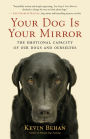 Your Dog Is Your Mirror: The Emotional Capacity of Our Dogs and