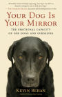 Your Dog Is Your Mirror: The Emotional Capacity of Our Dogs and Ourselves