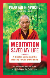 Title: Meditation Saved My Life: A Tibetan Lama and the Healing Power of the Mind, Author: Phakyab Rinpoche