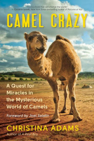 Title: Camel Crazy: A Quest for Miracles in the Mysterious World of Camels, Author: Christina Adams