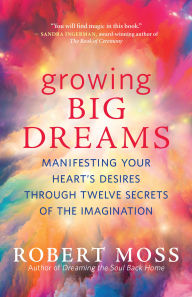 Downloading audiobooks ipod Growing Big Dreams: Manifesting Your Heart's Desires through Twelve Secrets of the Imagination 9781608687046 in English