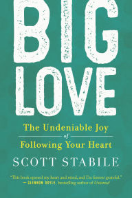 Title: Big Love: The Power of Living with a Wide-Open Heart, Author: Scott Stabile