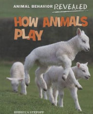 Title: How Animals Play, Author: Rebecca Stefoff