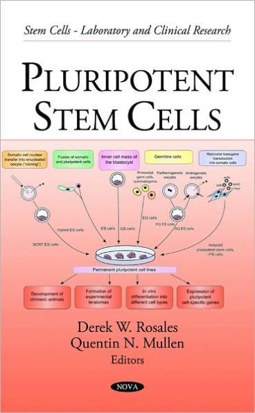 Pluripotent Stem Cells